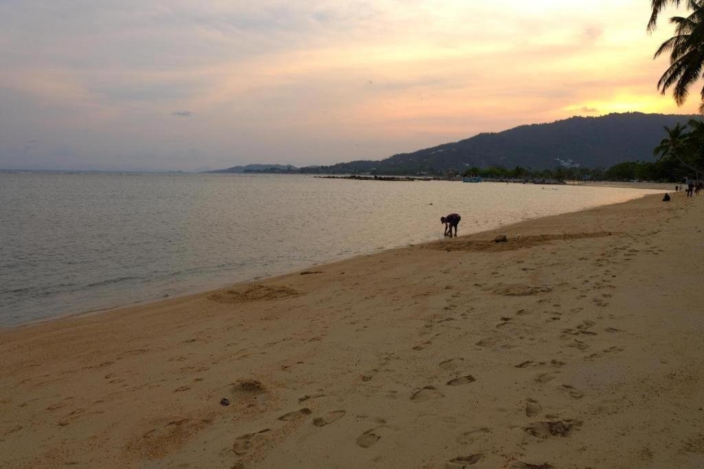 Rose Garden Samui Bungalows Lamai Beach  ภายนอก รูปภาพ