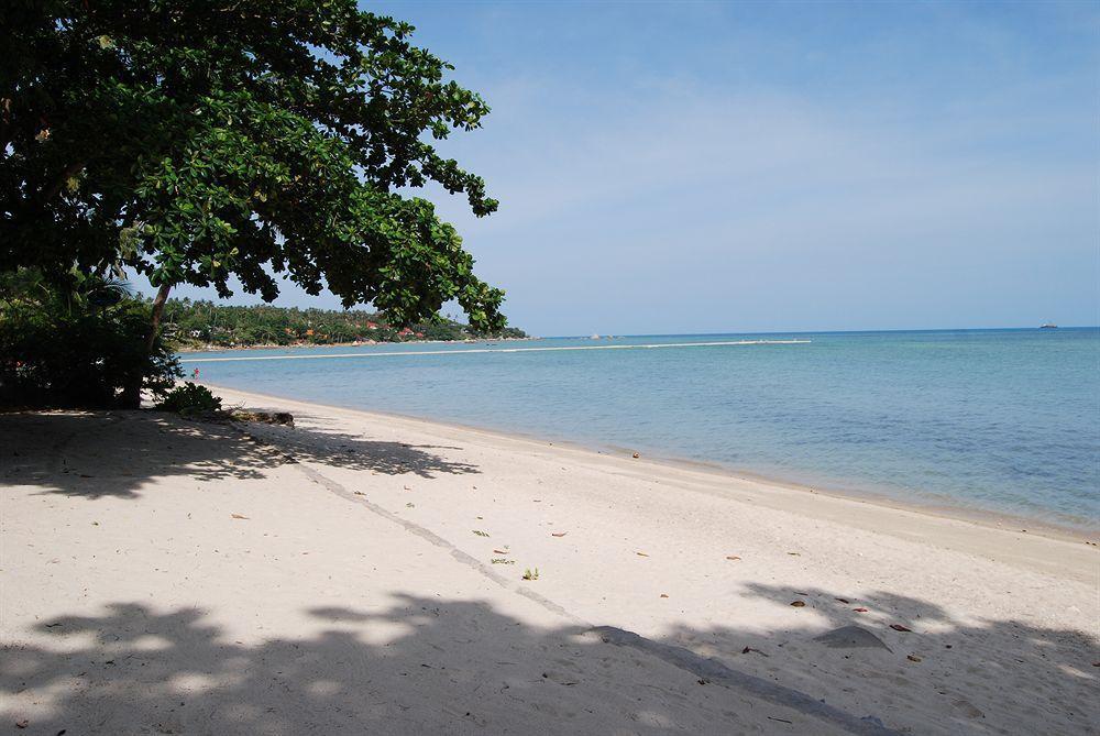 Rose Garden Samui Bungalows Lamai Beach  ภายนอก รูปภาพ